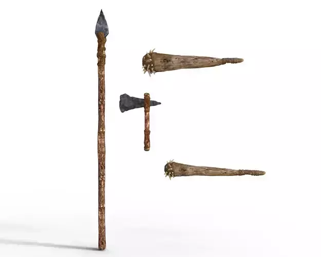 Prehistoric Wild weapons 3d model