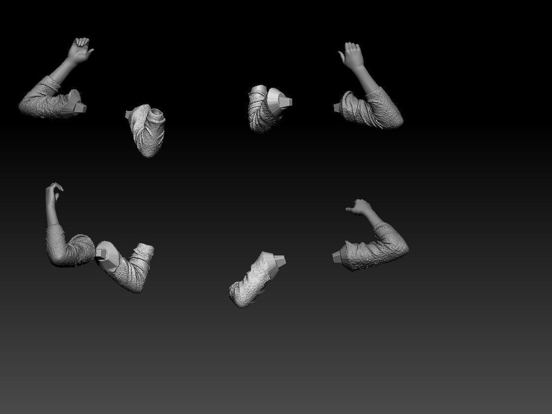 TRASGREDIRE  Giovanni Tinto Brass 3D print model_18