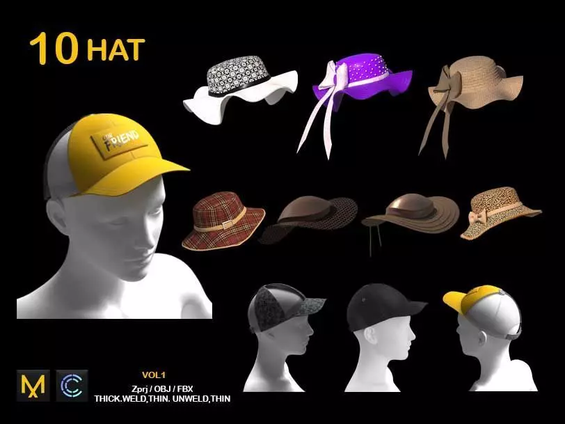 10 HAT 3D model