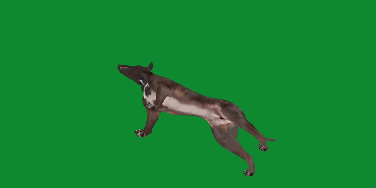 Italian Greyhound Dog Low-poly 3D model_18