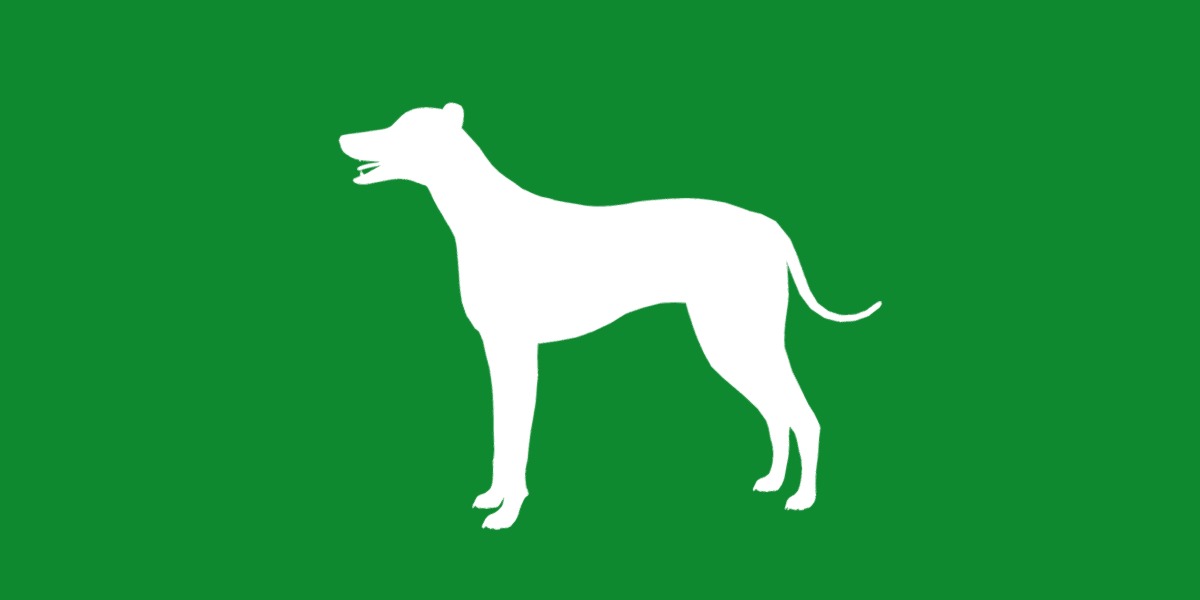 Italian Greyhound Dog Low-poly 3D model_23