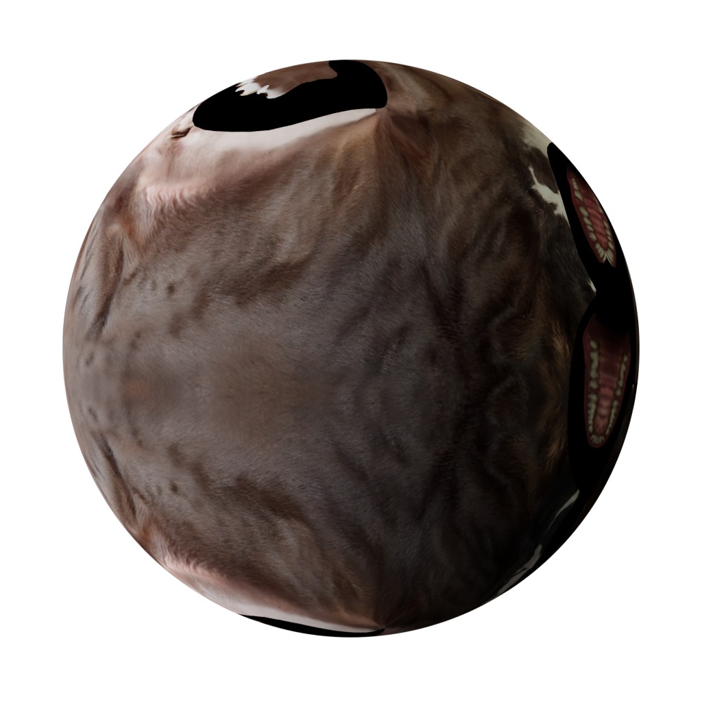 Italian Greyhound Dog Low-poly 3D model_34