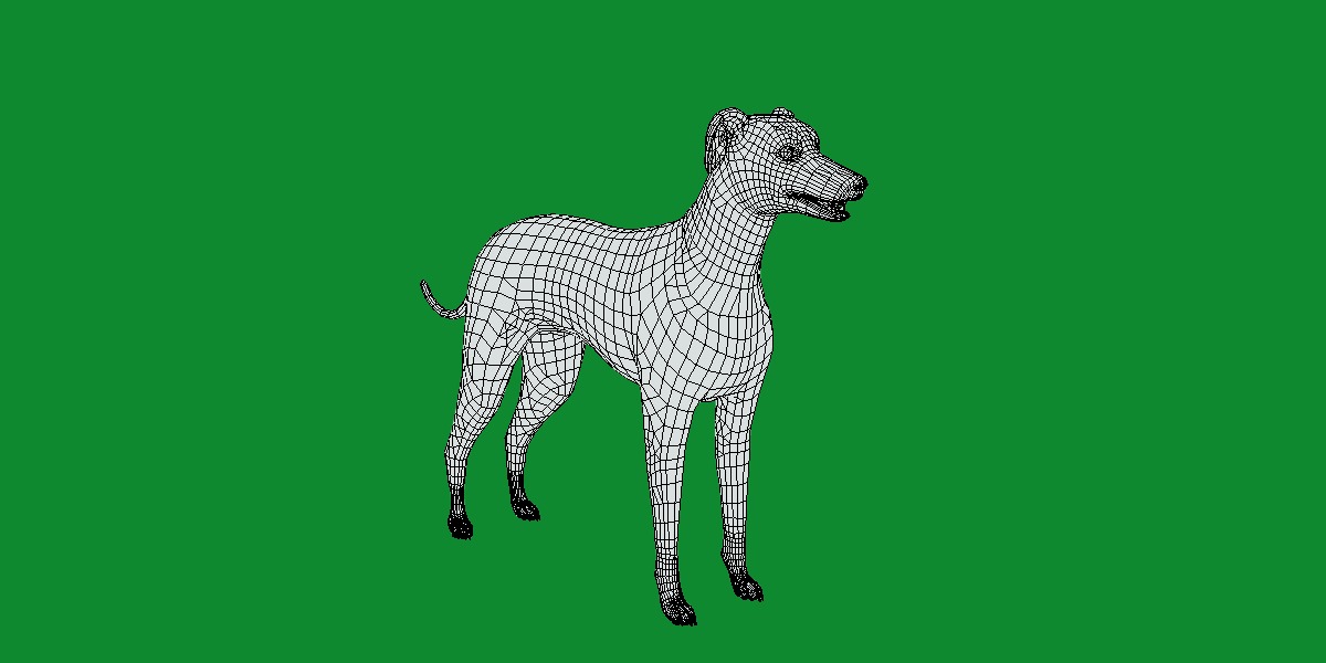 Italian Greyhound Dog Low-poly 3D model_9