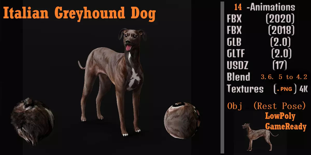 Italian Greyhound Dog Low-poly 3D model_0