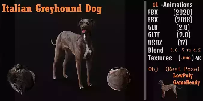 Italian Greyhound Dog Low-poly 3D model