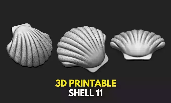 Shell 11 - 3D Print - Aquarium 3D print model
