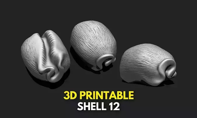 Shell 12 - 3D Print - Aquarium 3D print model
