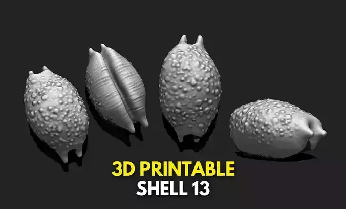 Shell 13 - 3D Print - Aquarium 3D print model