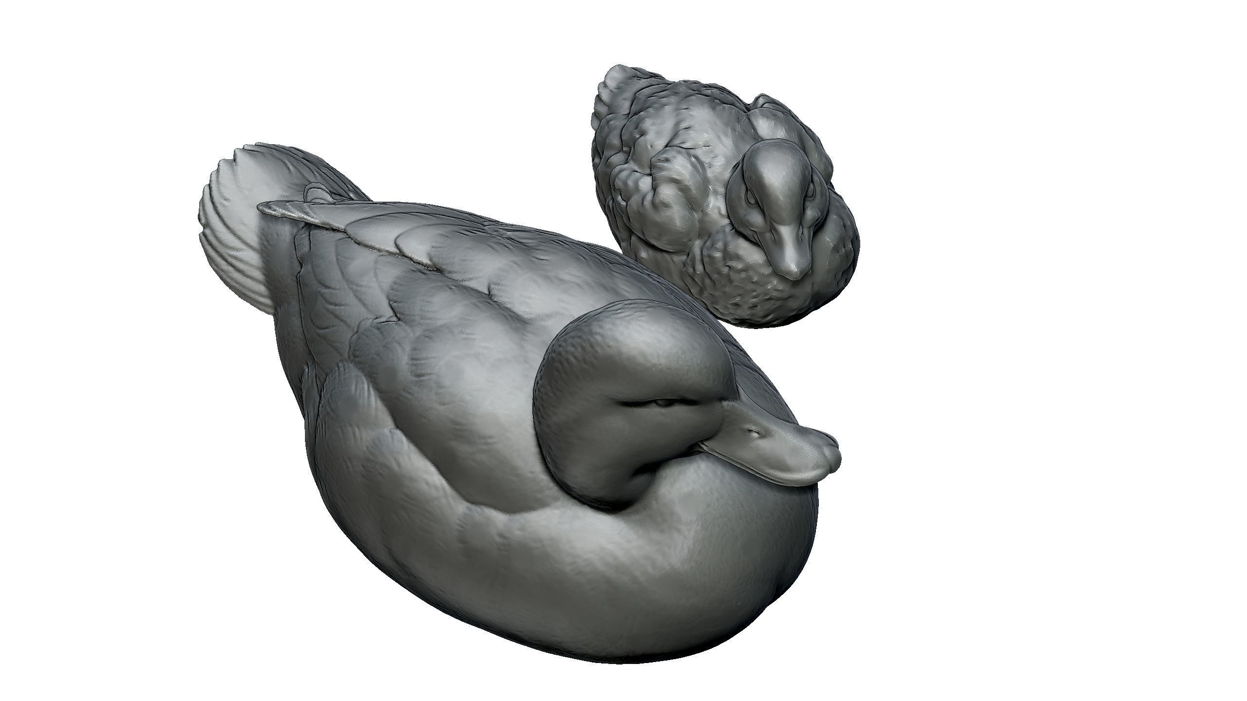 duckling duck 3D print model_7