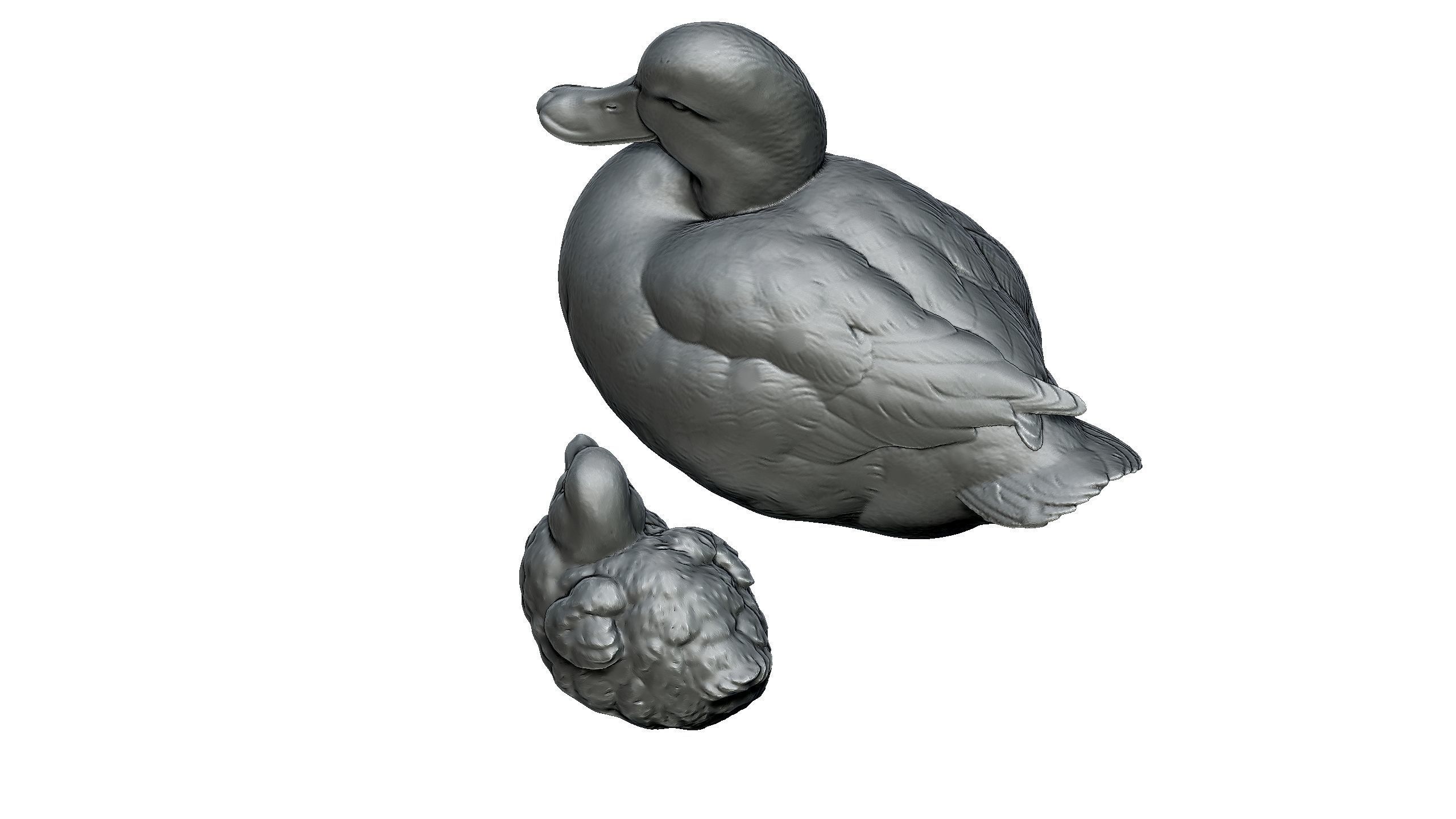 duckling duck 3D print model_3
