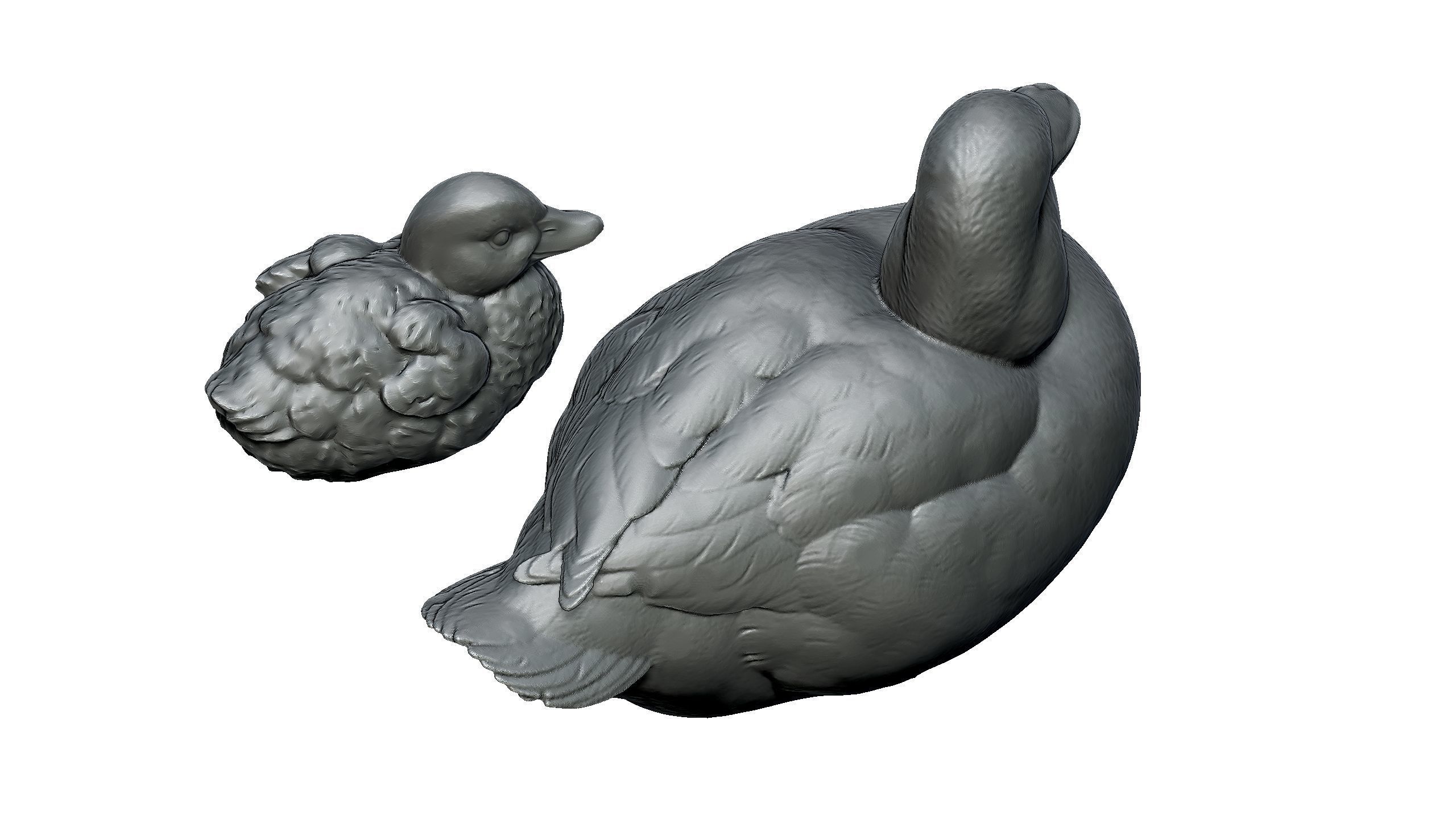 duckling duck 3D print model_5