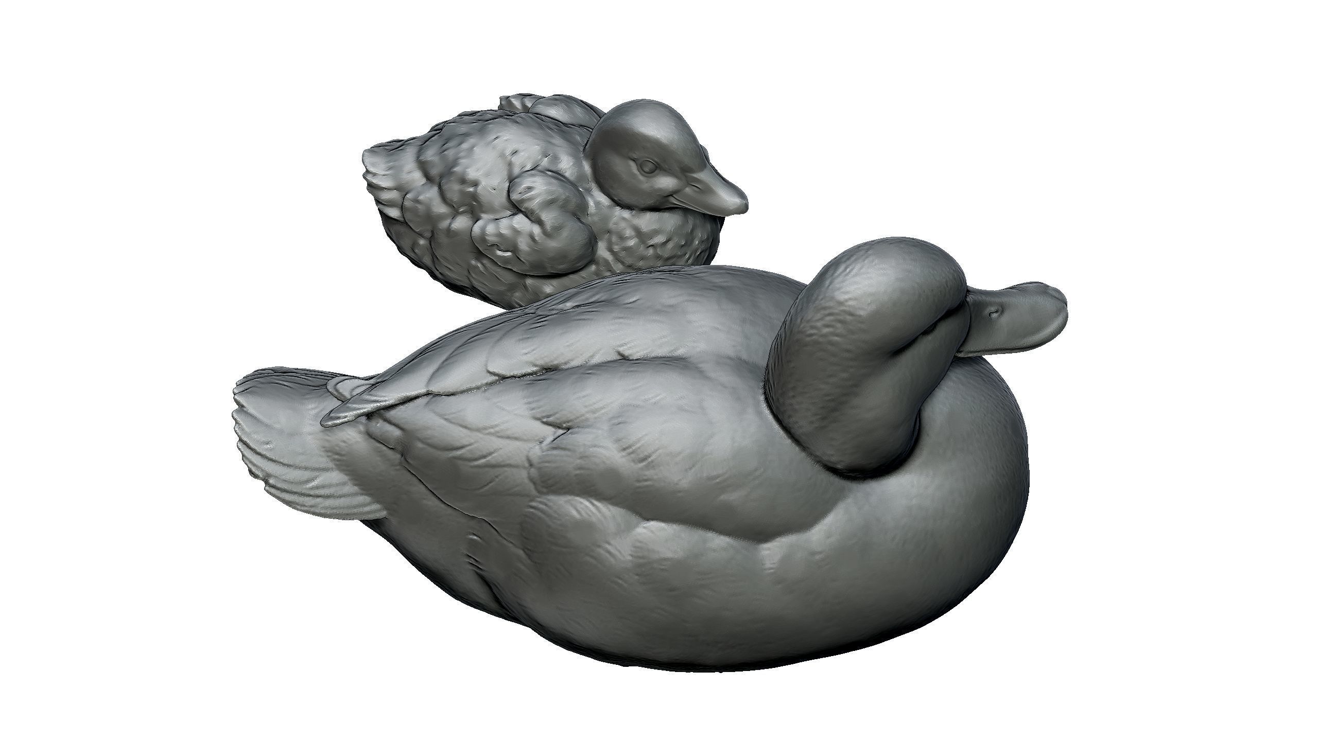 duckling duck 3D print model_6