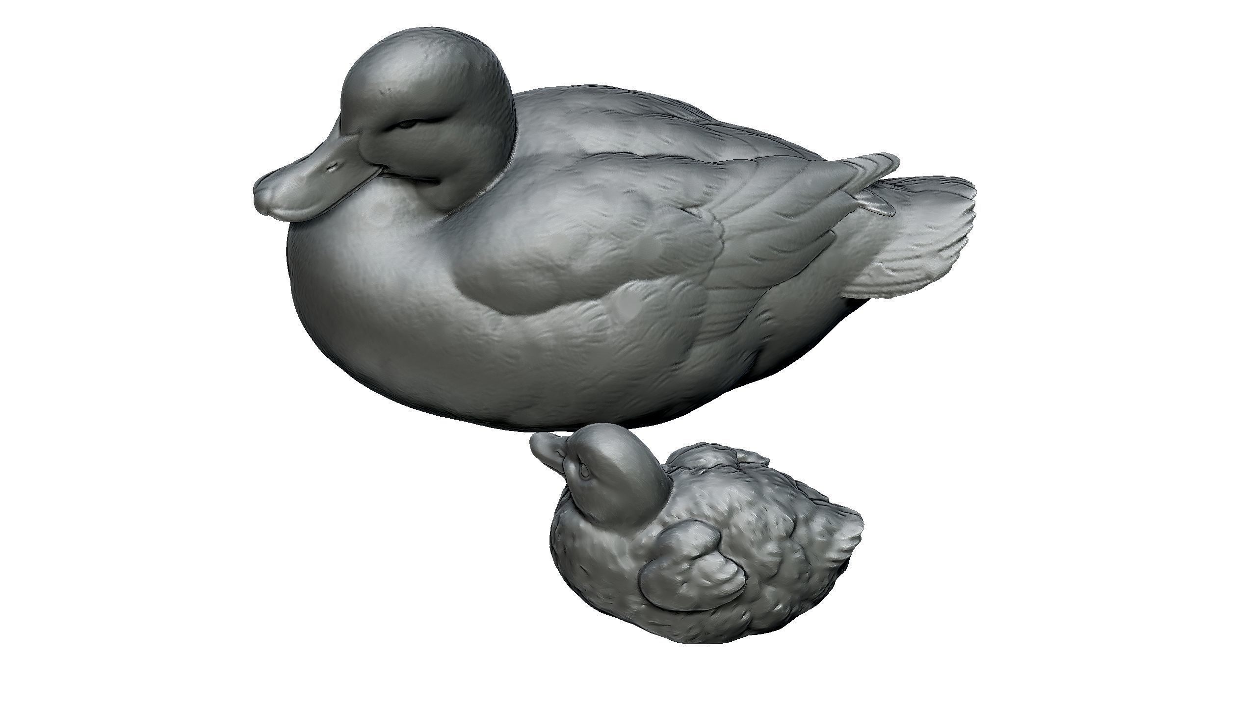 duckling duck 3D print model_2