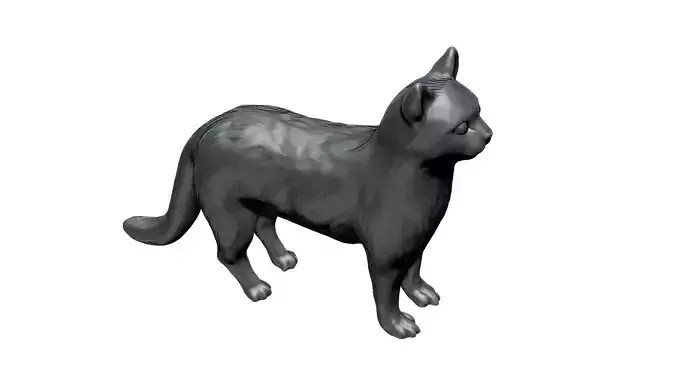 Cat for 3d printing