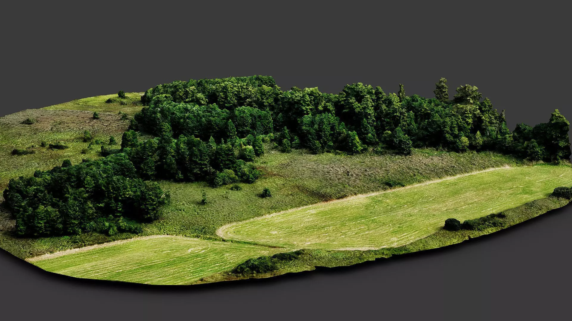 trees terrain lpoly forest area dronescan part3 Low-poly 3D model