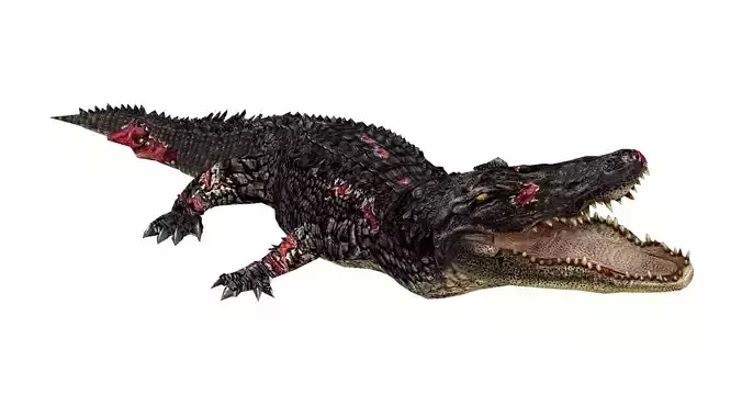 Animated Injured Alligator Rigged Low-poly 3D model