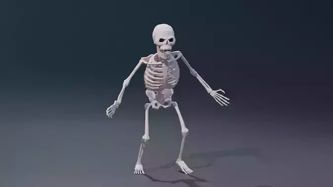 Skeleton low-poly stylized Low-poly 3D model