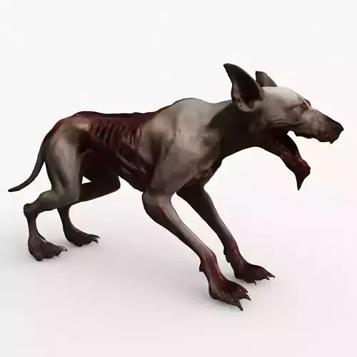 zombie Dog