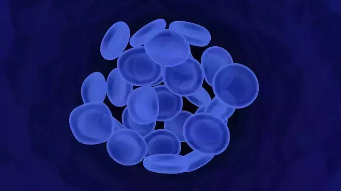Octopus Blood Cells In Segment 3D model