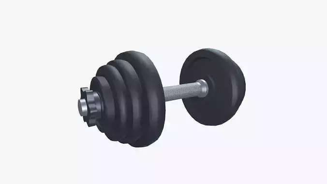 Exercise Metal Dumbbells 