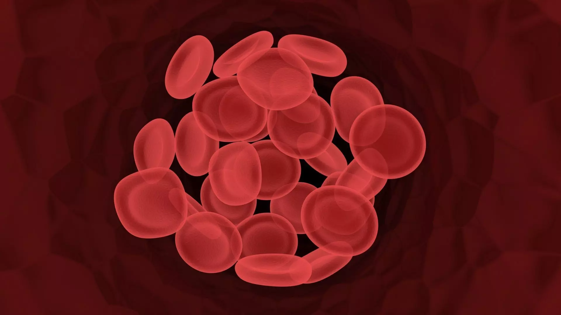 Human Blood Cells In Segment 3D model_0