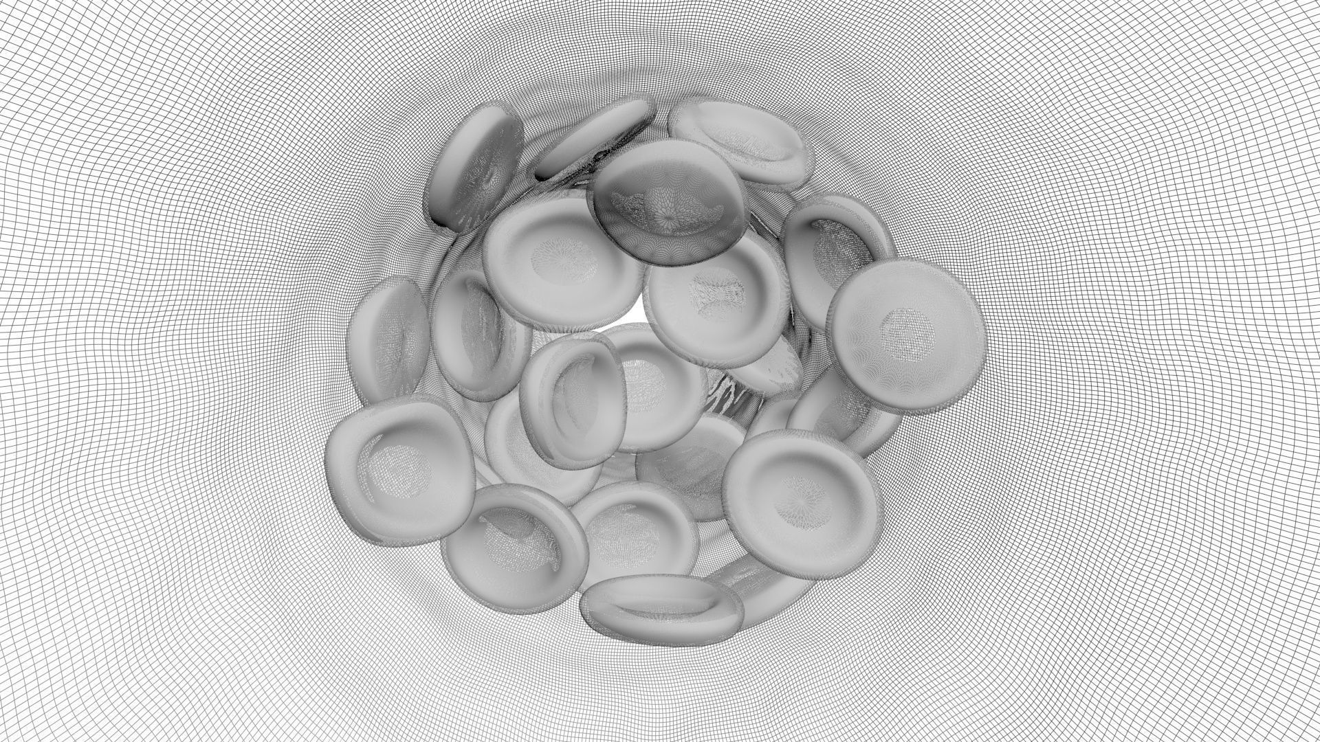 Human Blood Cells In Segment 3D model_7