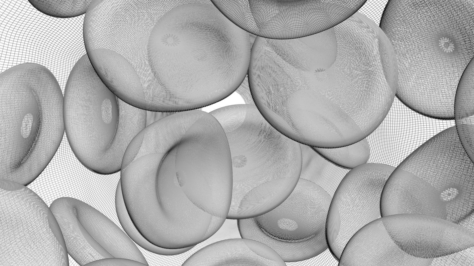 Human Blood Cells In Segment 3D model_6