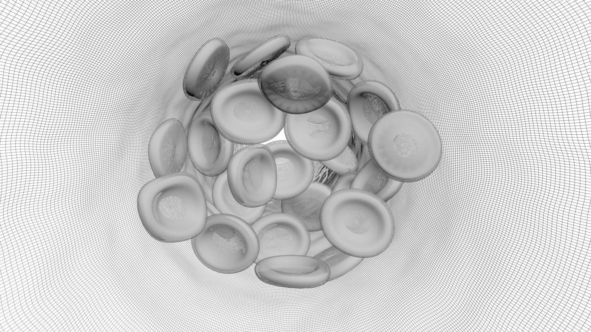 Human Blood Cells In Segment 3D model_5