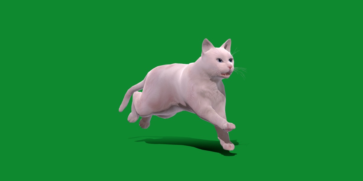 Turkish Angora Cat Low-poly 3D model_6