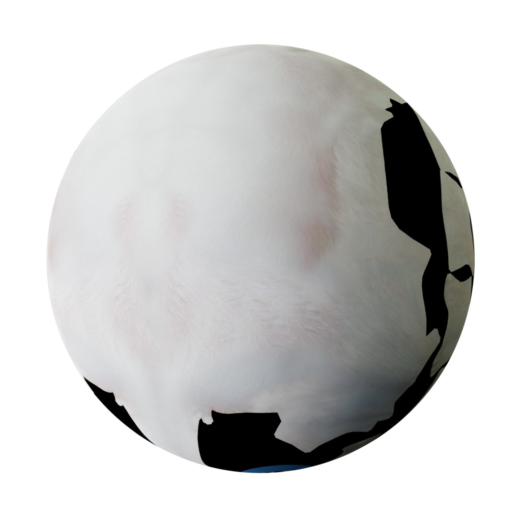 Turkish Angora Cat Low-poly 3D model_29