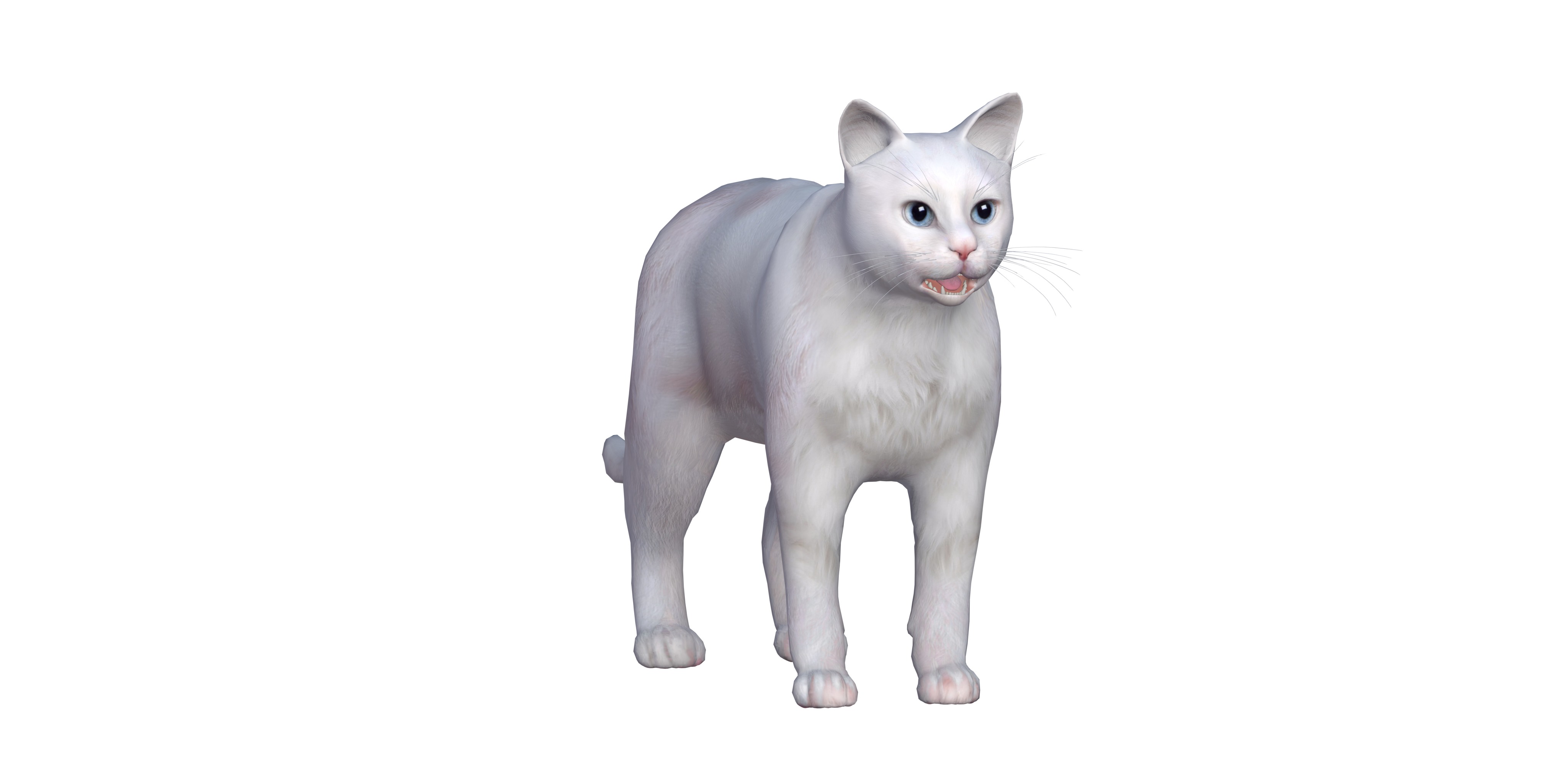 Turkish Angora Cat Low-poly 3D model_4