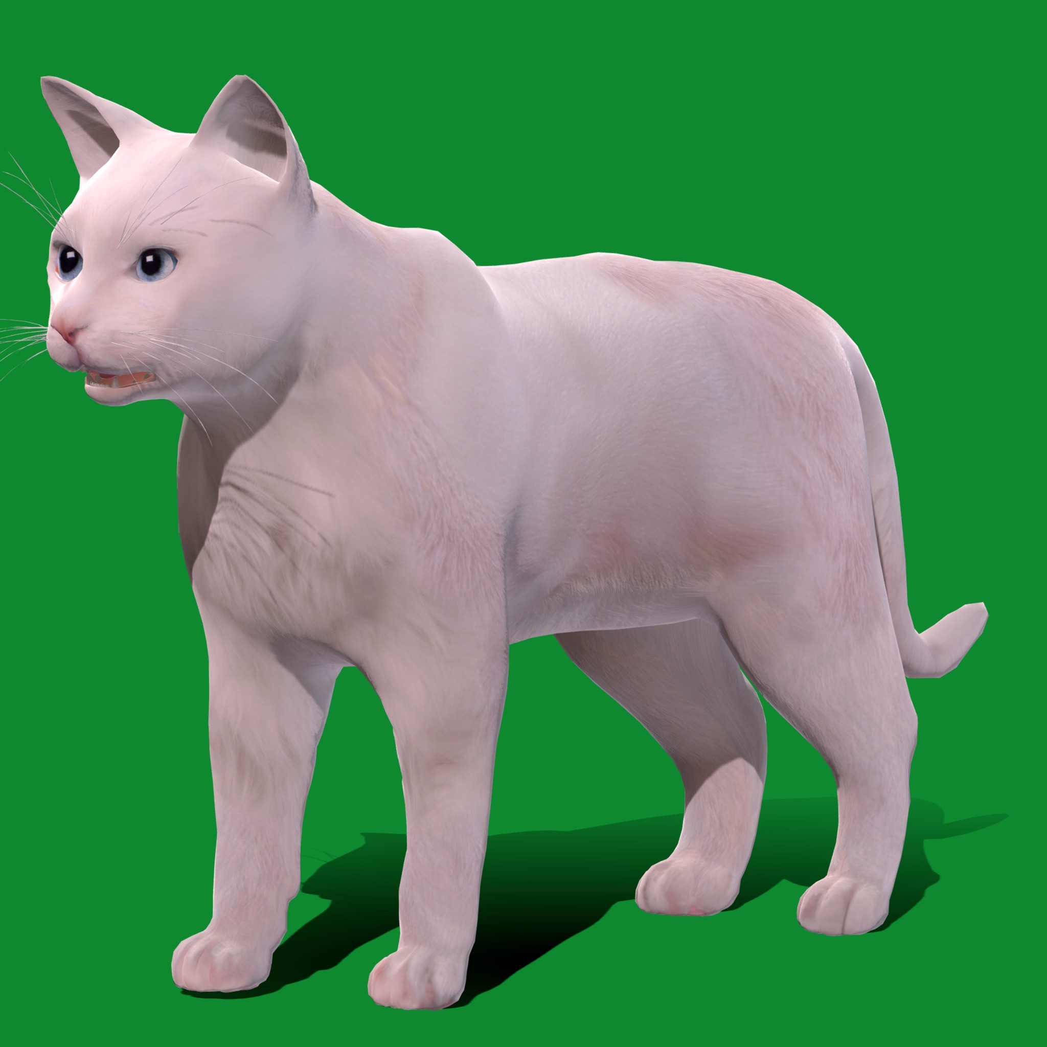 Turkish Angora Cat Low-poly 3D model_21