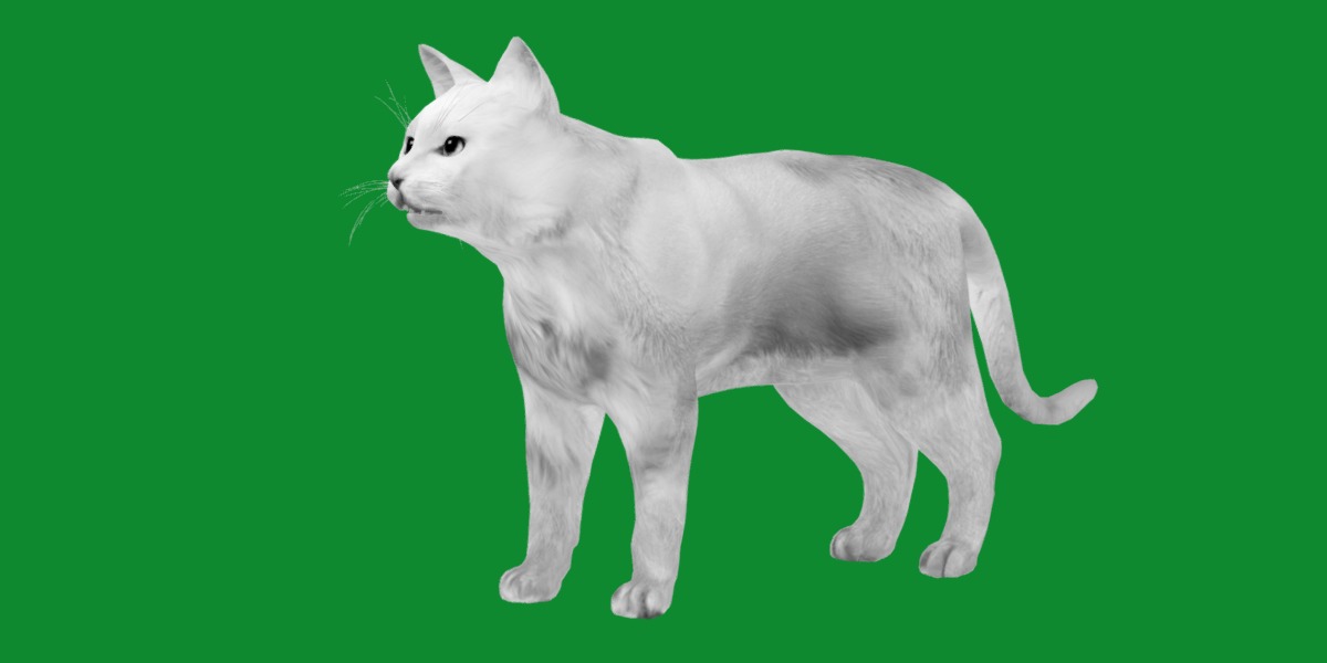 Turkish Angora Cat Low-poly 3D model_10