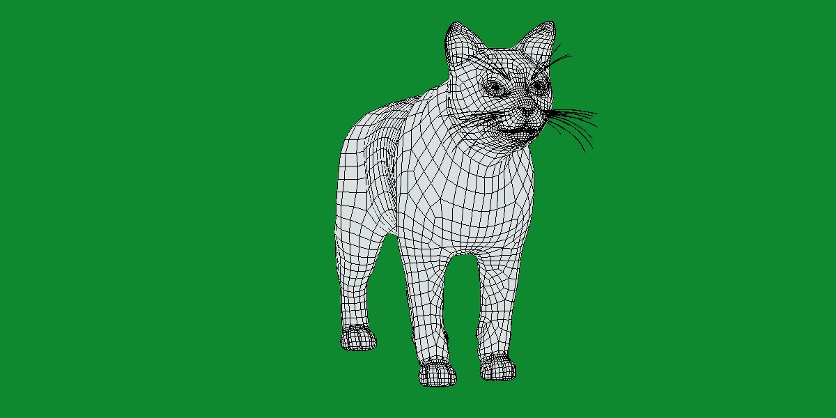 Turkish Angora Cat Low-poly 3D model_13