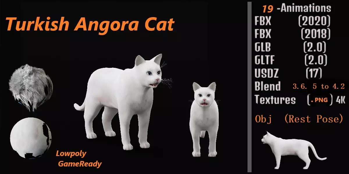 Turkish Angora Cat Low-poly 3D model_0