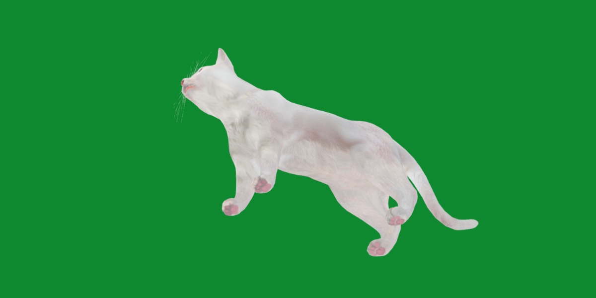 Turkish Angora Cat Low-poly 3D model_24