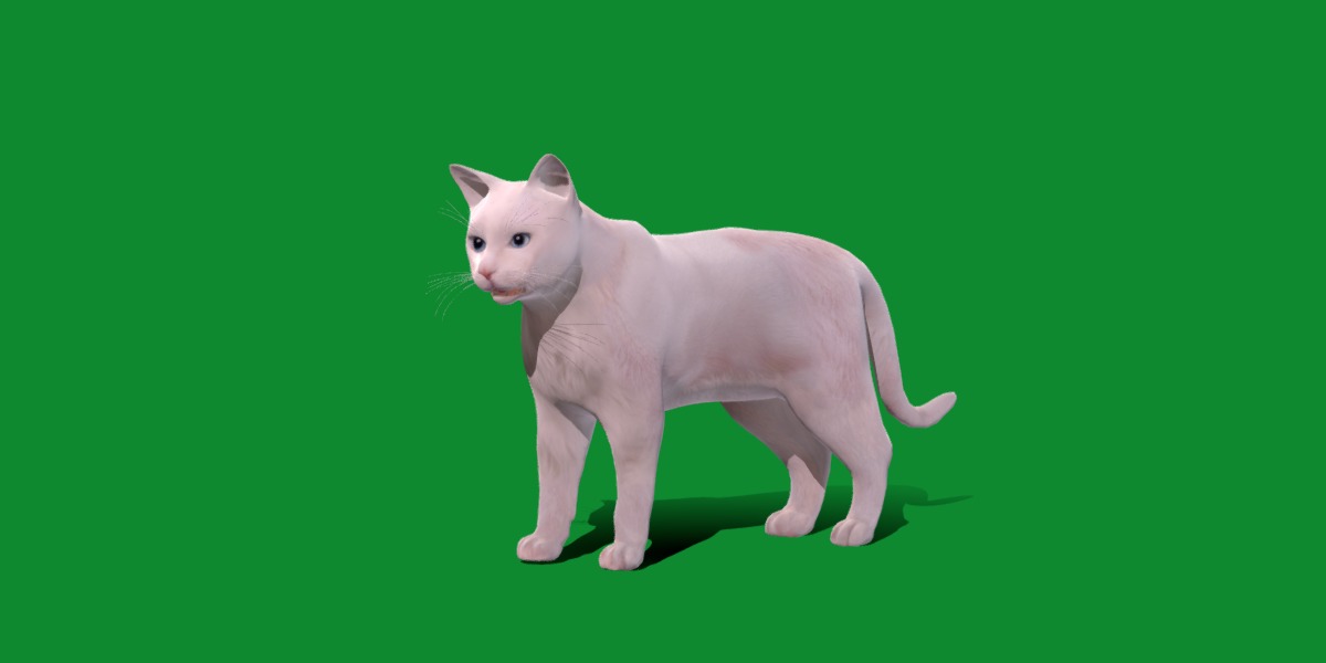 Turkish Angora Cat Low-poly 3D model_5