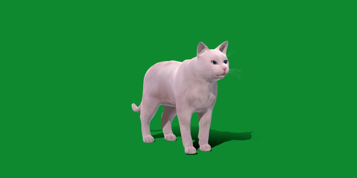 Turkish Angora Cat Low-poly 3D model_22