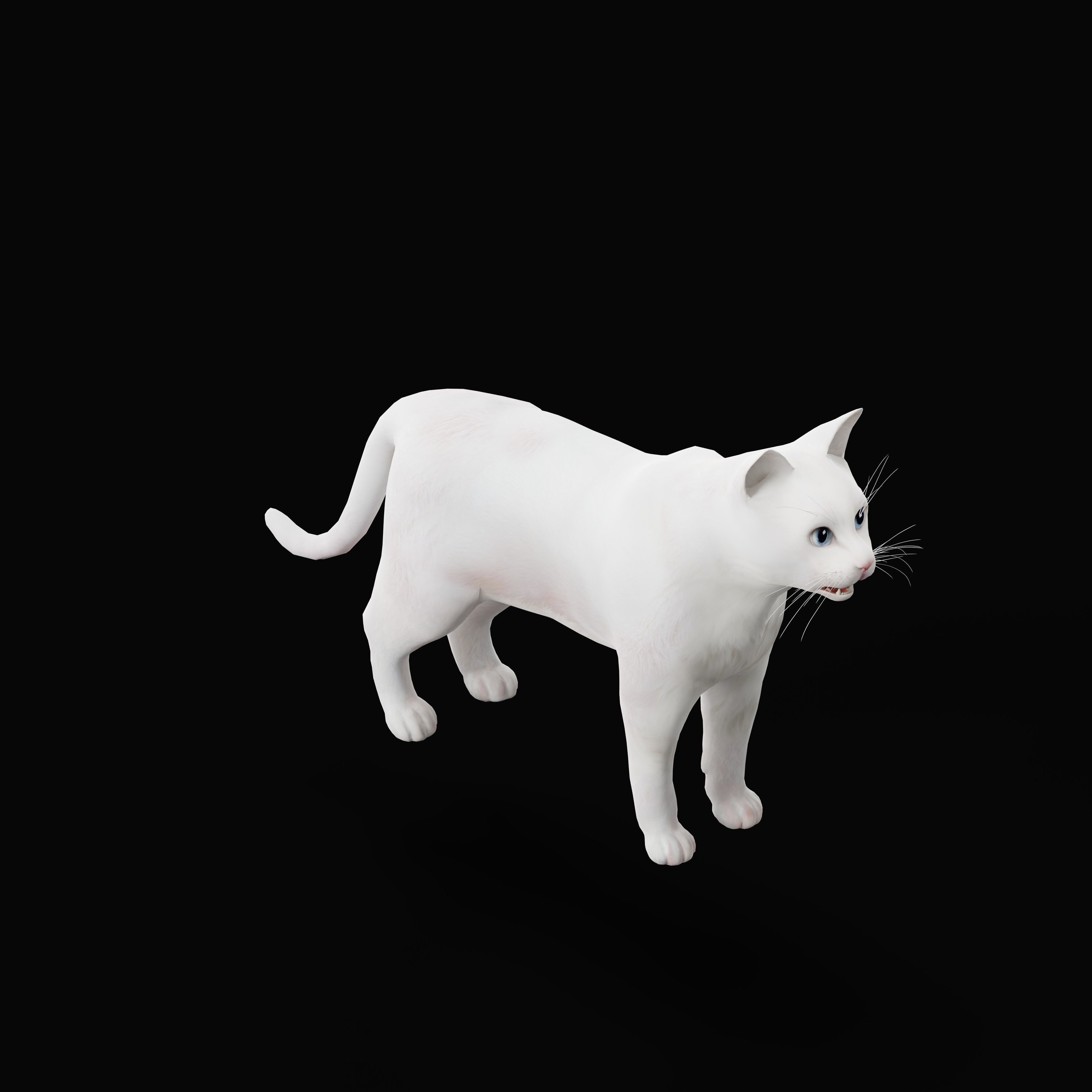 Turkish Angora Cat Low-poly 3D model_35