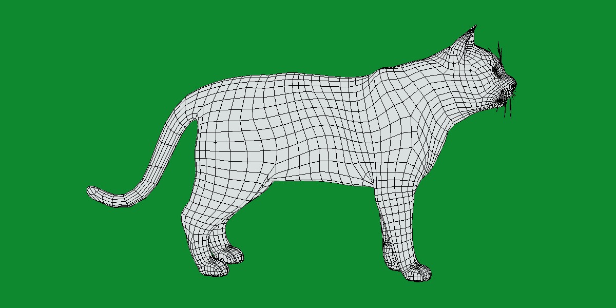 Turkish Angora Cat Low-poly 3D model_14