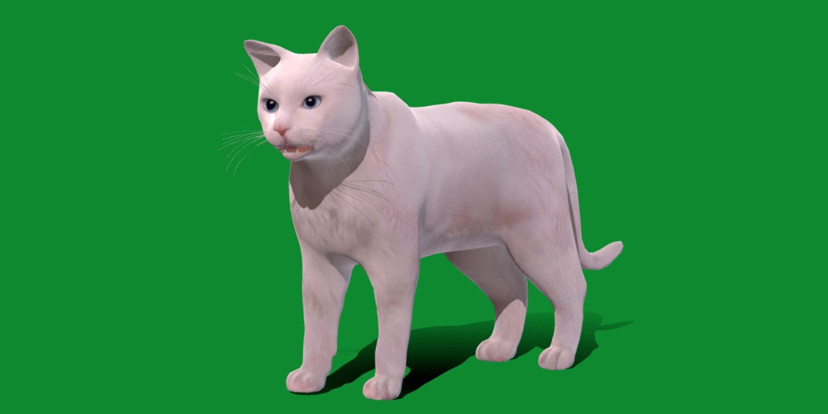 Turkish Angora Cat Low-poly 3D model_20