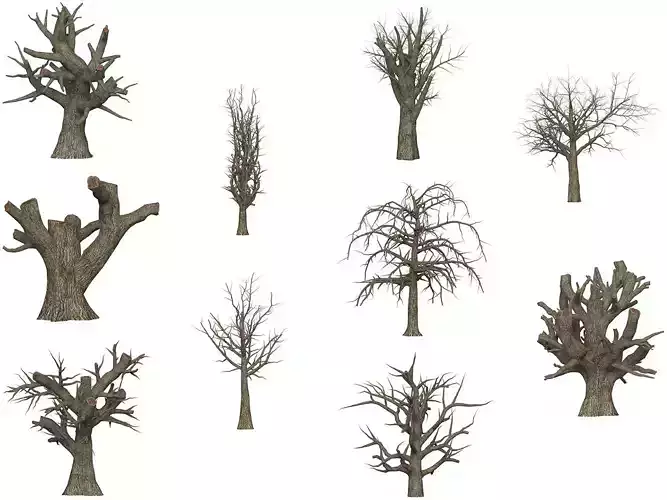 Game Ready Dead Tree Collection Low-poly 3D model