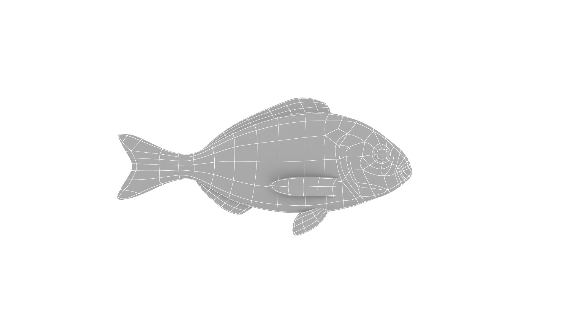 Fish Collection 3D model_18