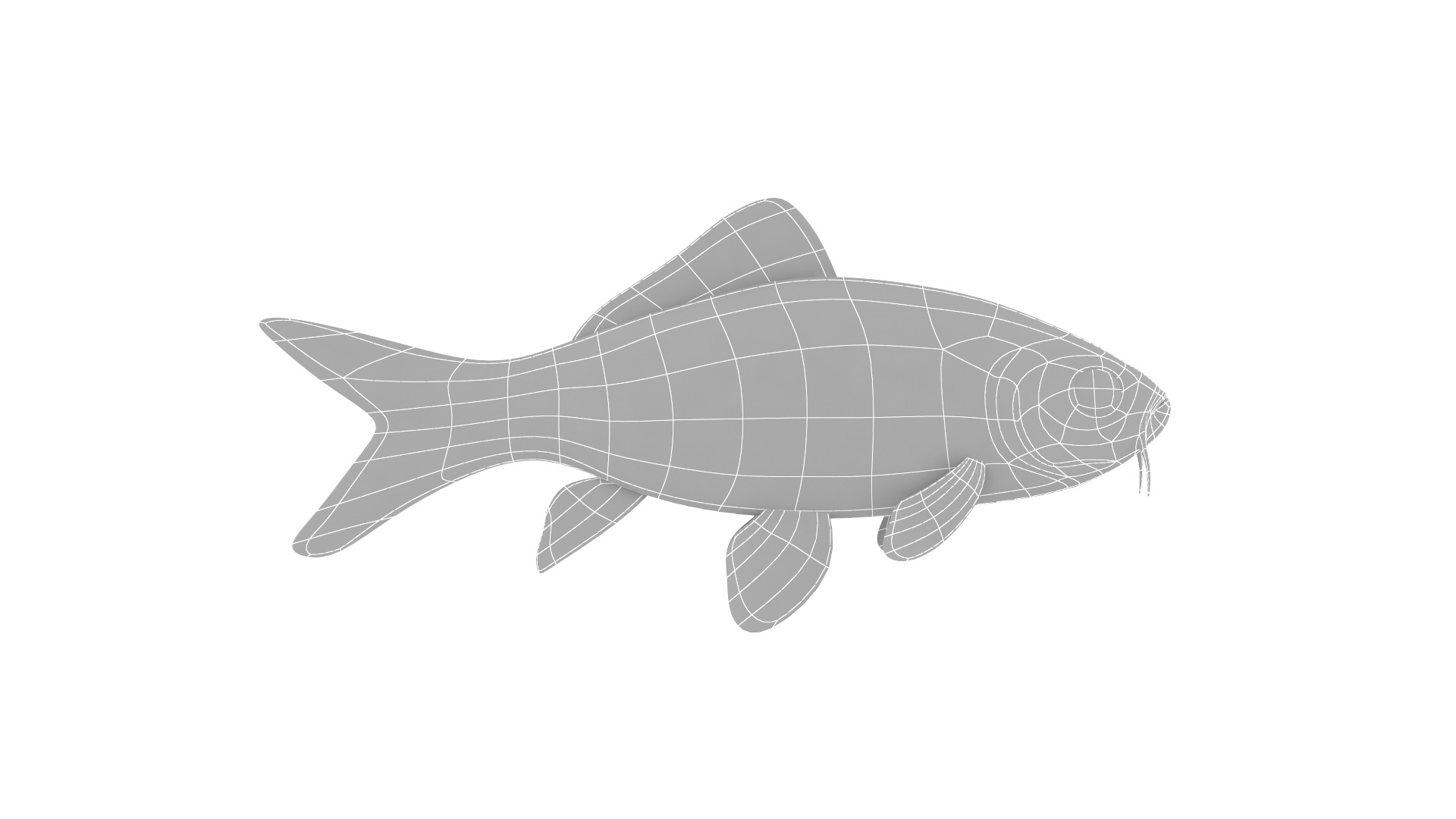 Fish Collection 3D model_19
