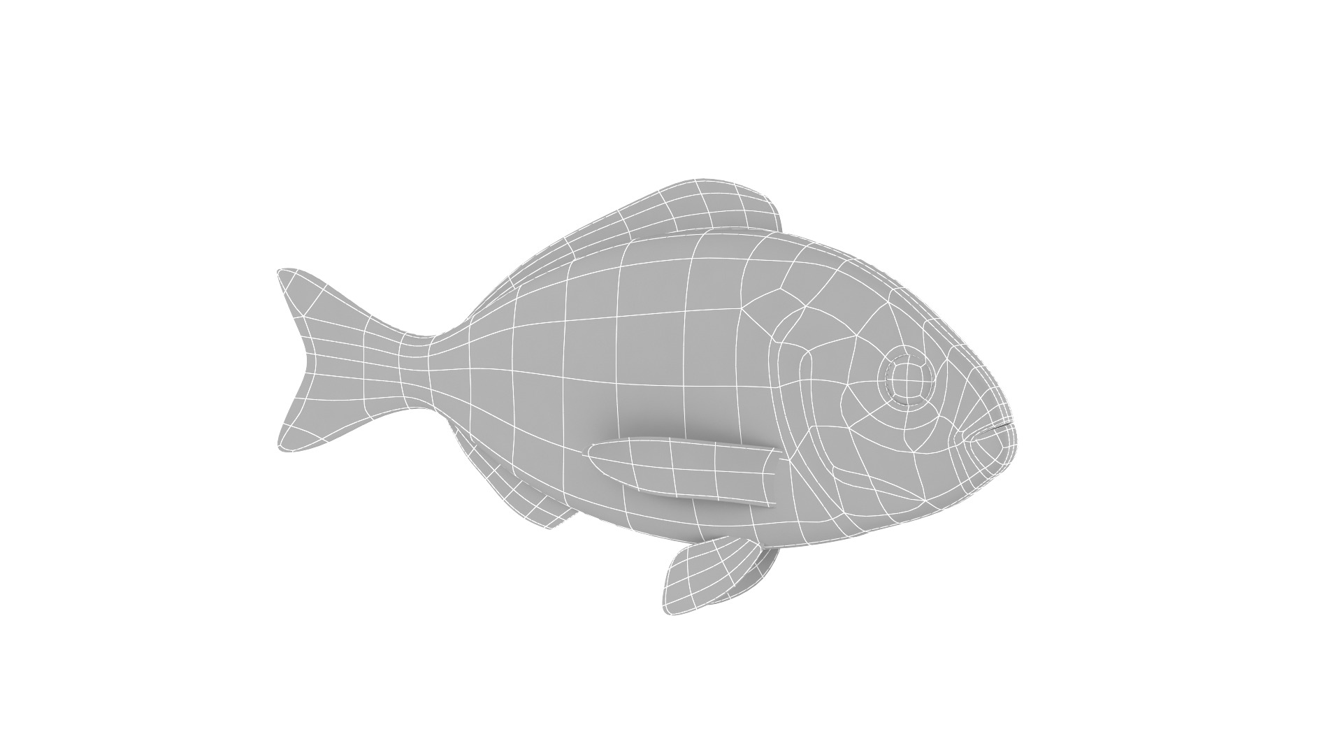 Fish Collection 3D model_21