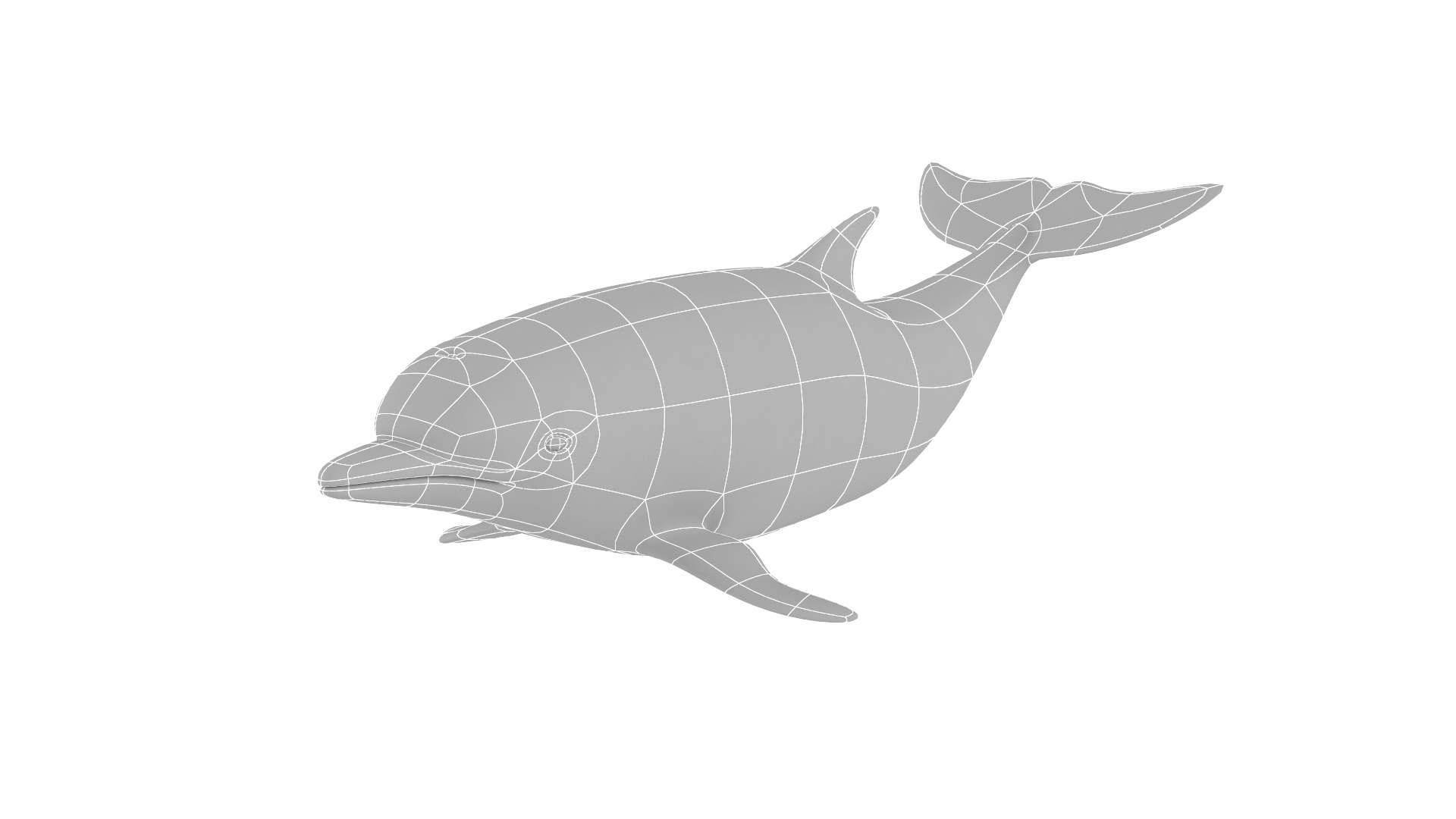 Fish Collection 3D model_17