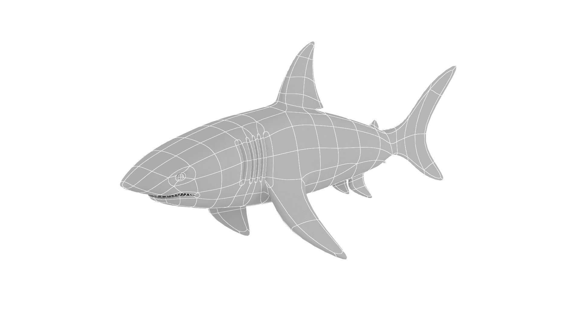 Fish Collection 3D model_24