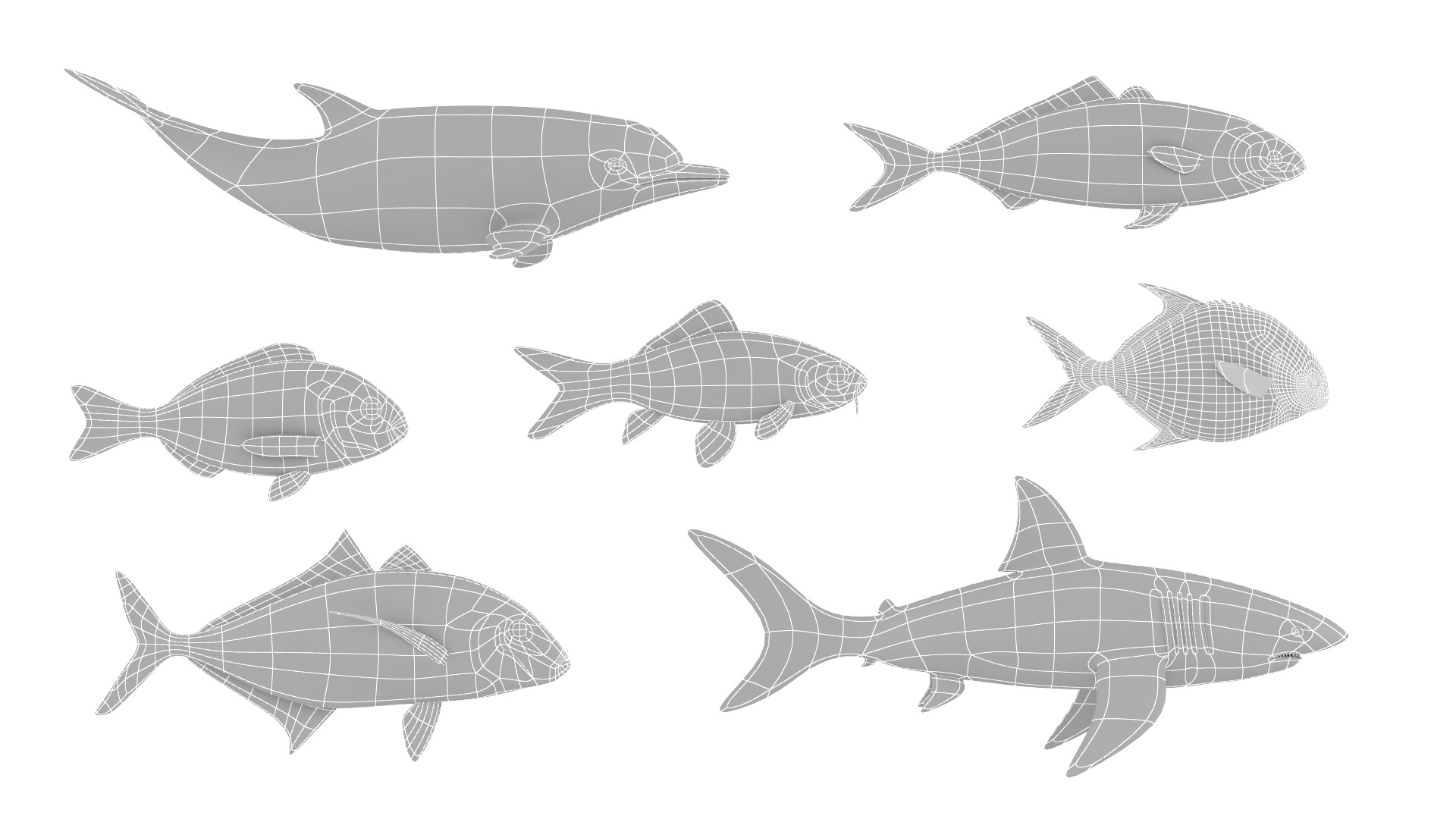 Fish Collection 3D model_15