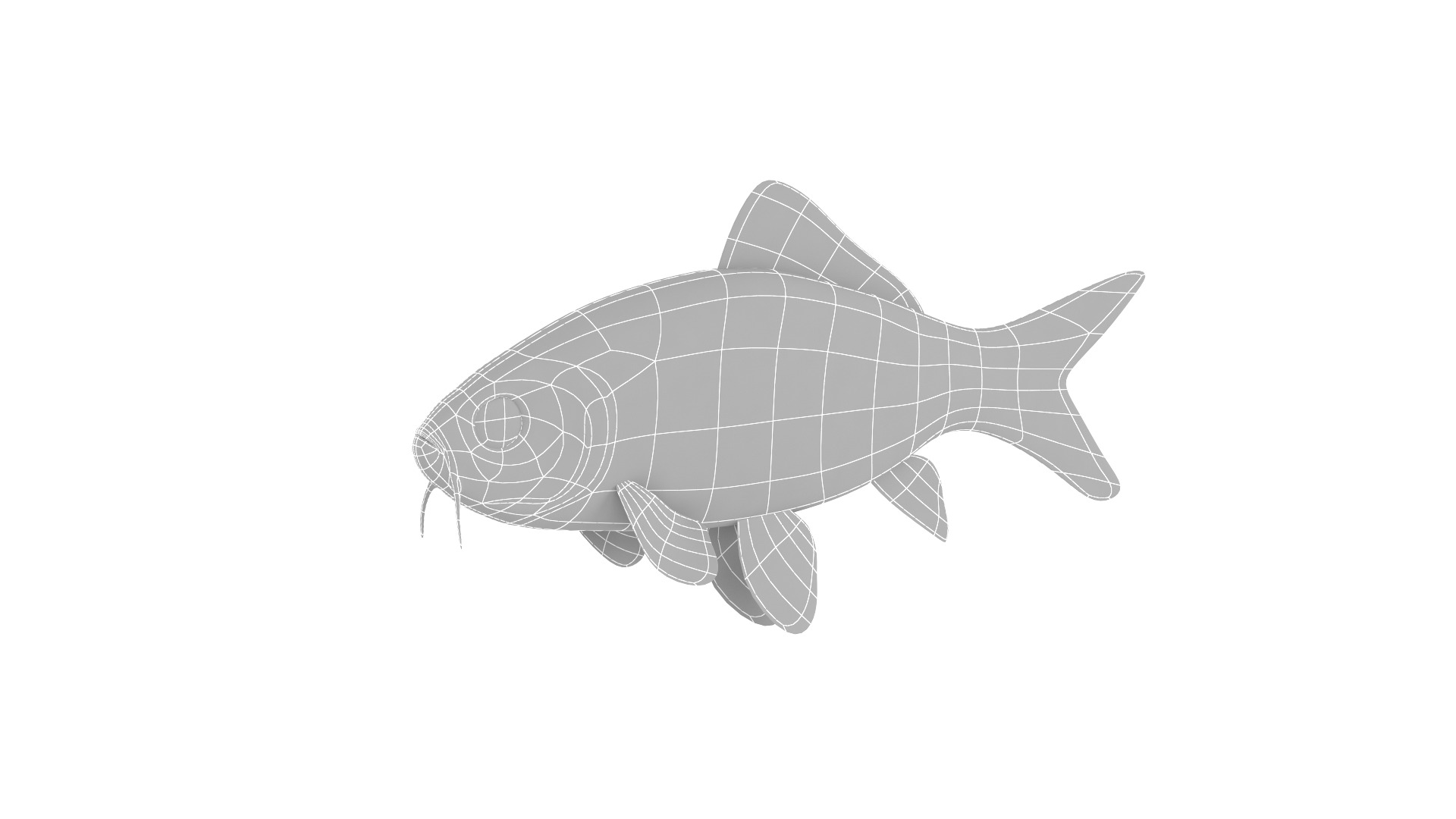 Fish Collection 3D model_20