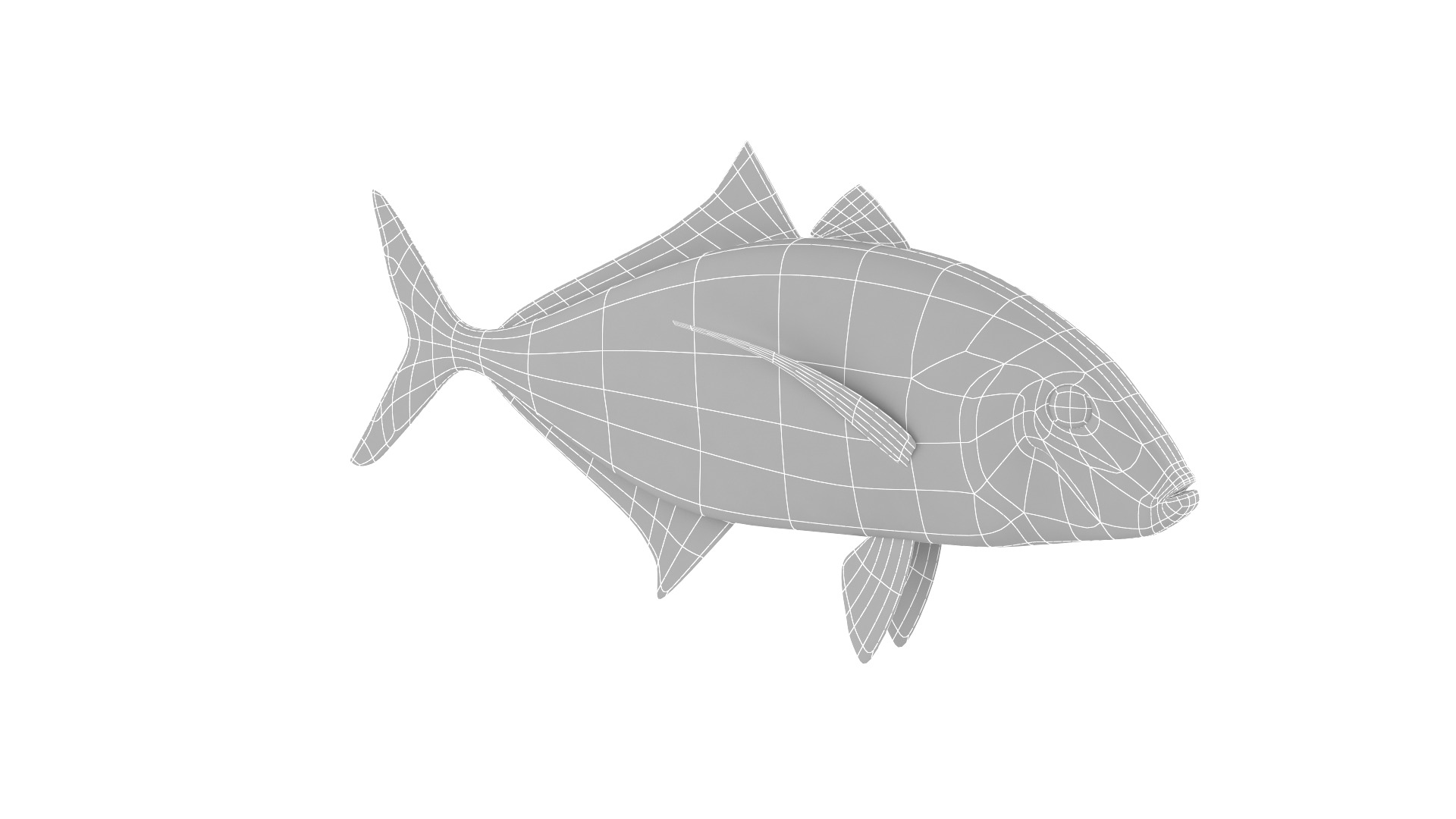 Fish Collection 3D model_16